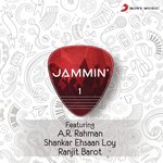 Jammin', 1 - Vipul Mehta Song Download